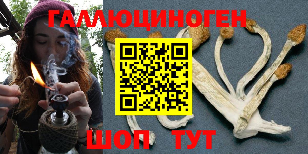 Псилоцибиновые грибы мицелий Саратов